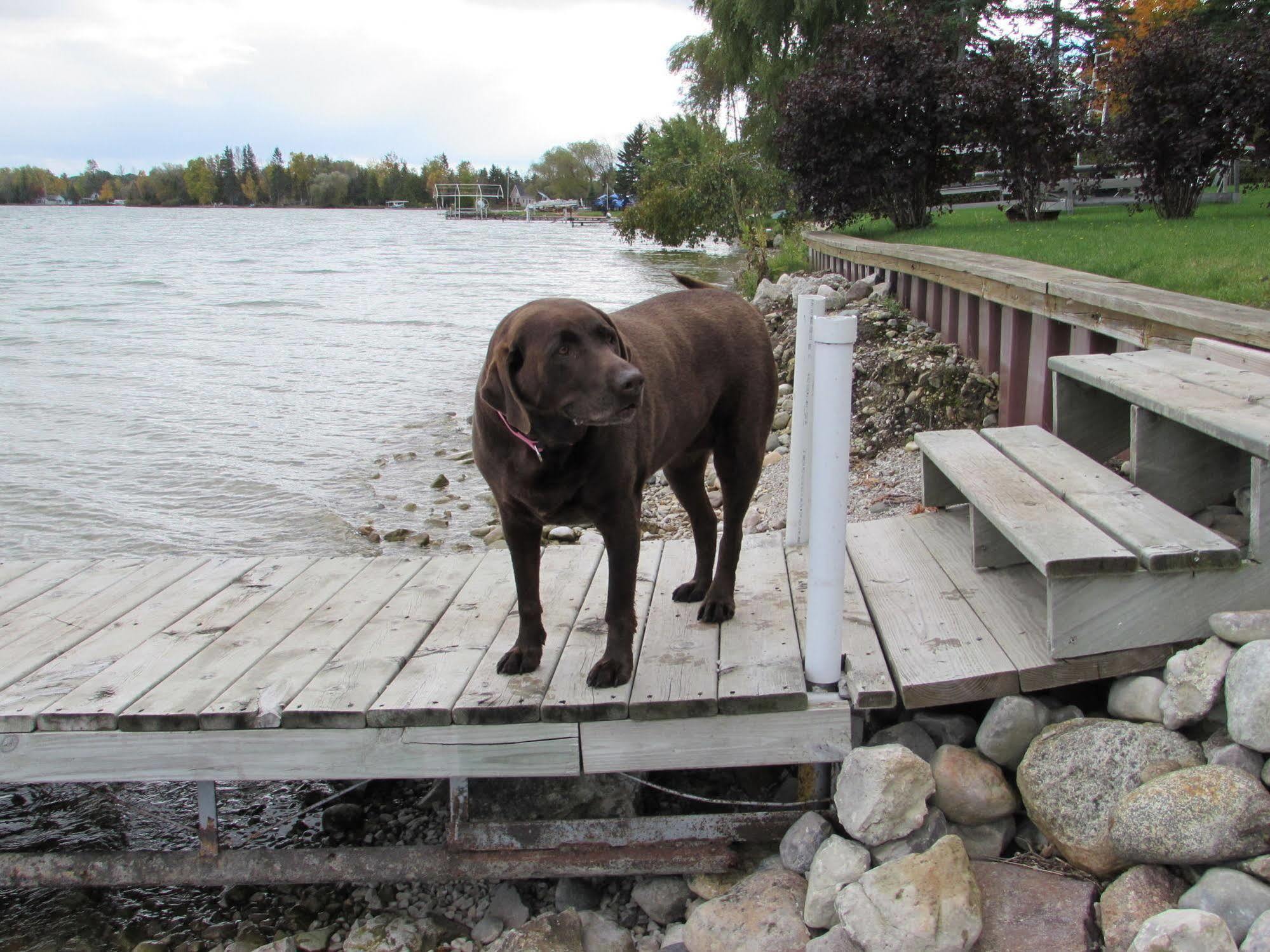 Grand Lake Resort Presque Isle Екстериор снимка